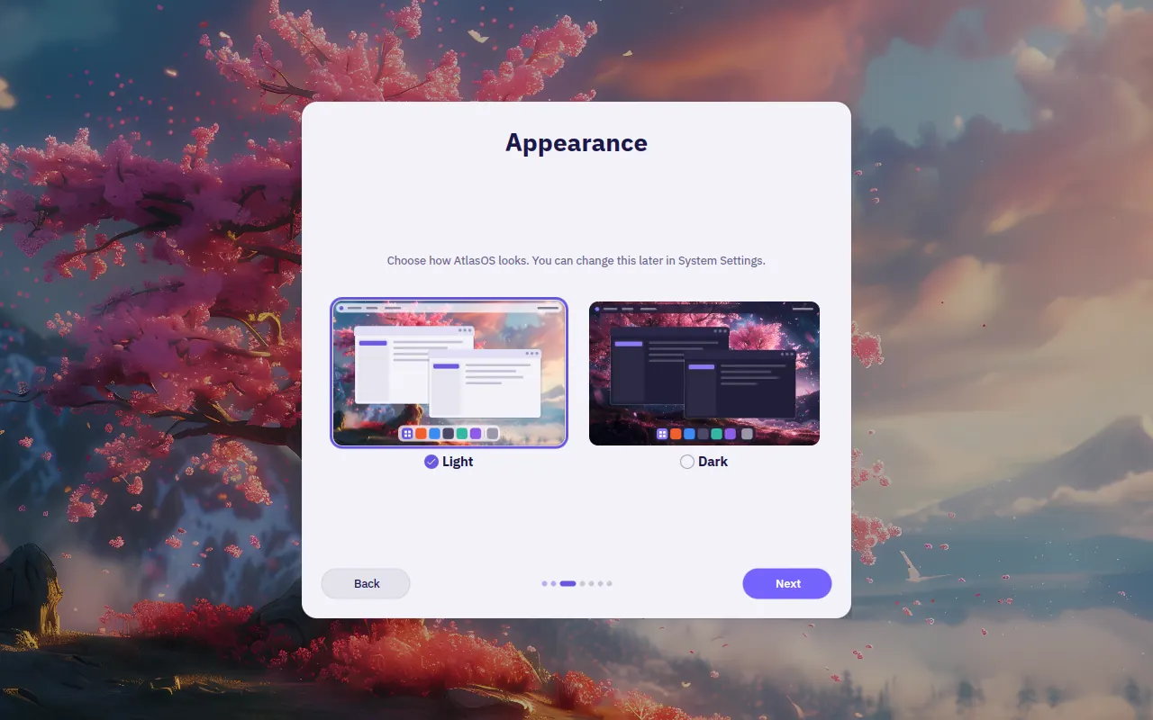 The first-run setup's Appearance page, choosing between Light and Dark.